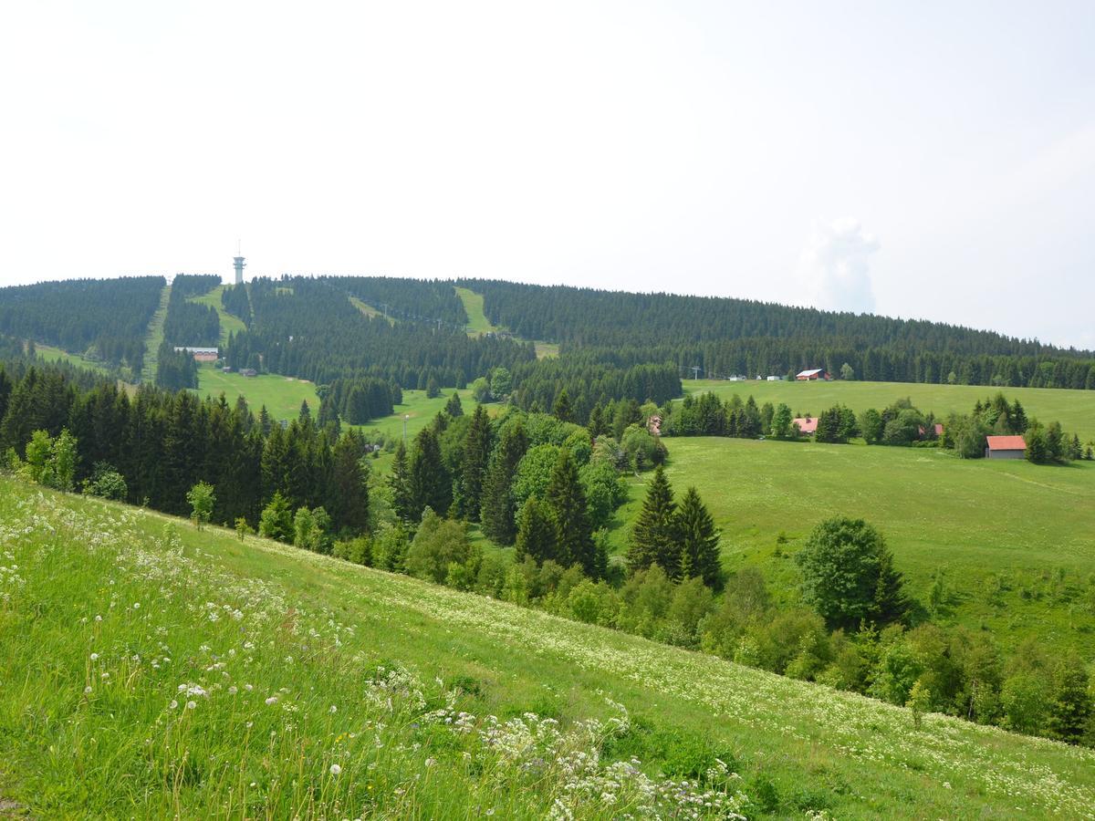 Nice Holiday Home In The Ore Mountains Only 500M From The Chairlift Лоучна-под-Кліновцем Екстер'єр фото