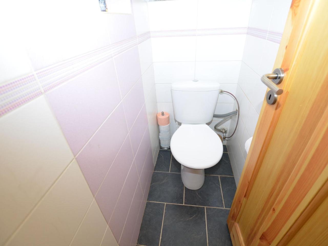Nice Holiday Home In The Ore Mountains Only 500M From The Chairlift Лоучна-под-Кліновцем Екстер'єр фото