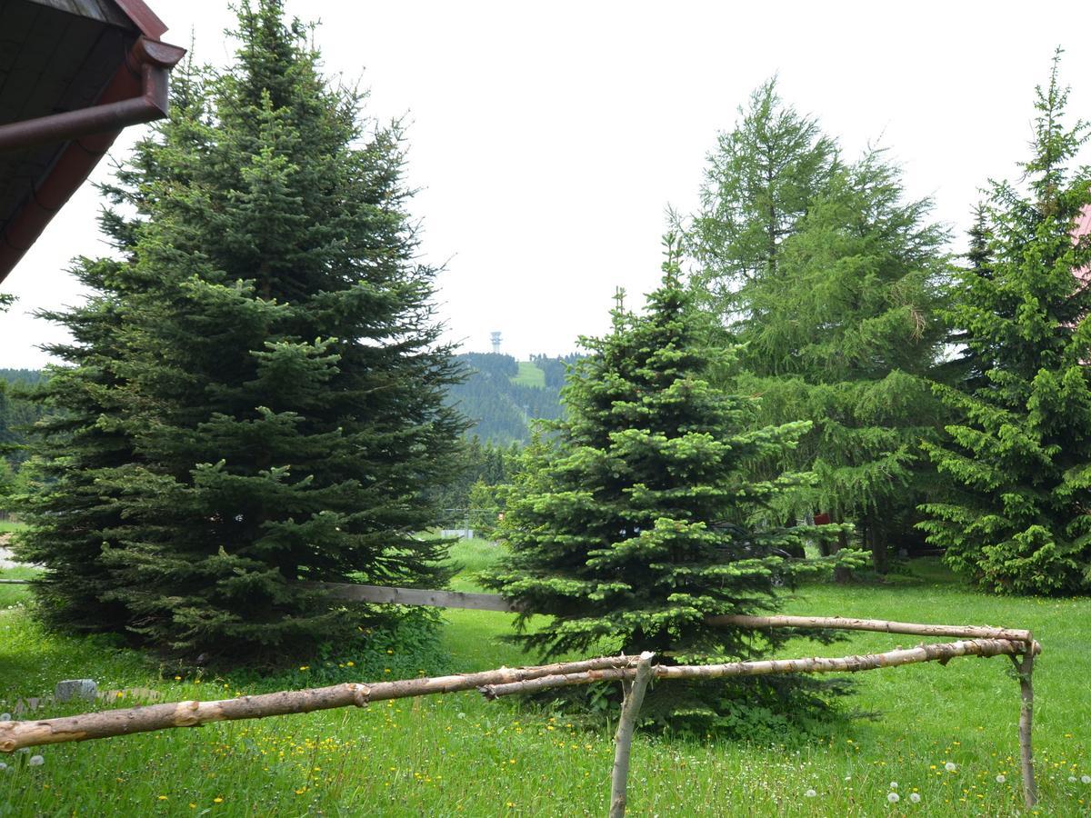 Nice Holiday Home In The Ore Mountains Only 500M From The Chairlift Лоучна-под-Кліновцем Екстер'єр фото