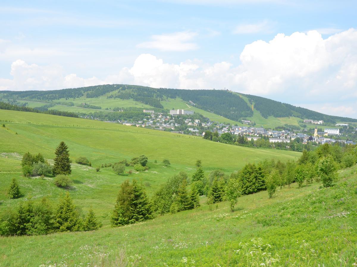 Nice Holiday Home In The Ore Mountains Only 500M From The Chairlift Лоучна-под-Кліновцем Екстер'єр фото