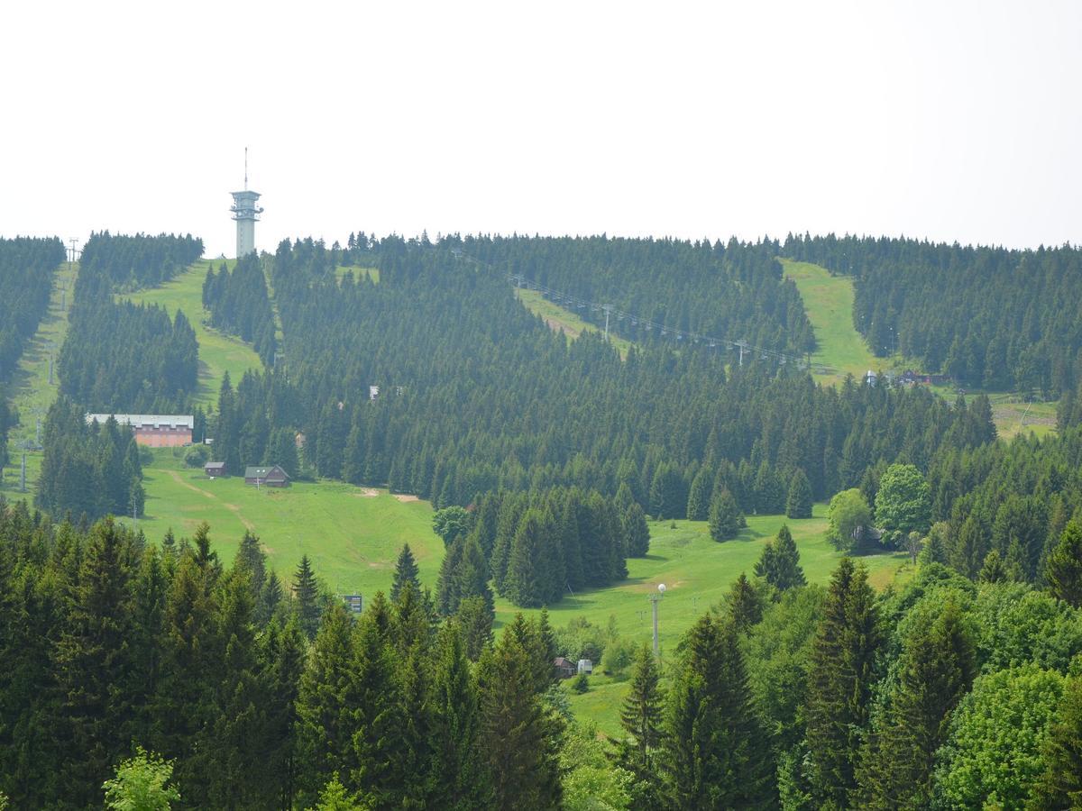 Nice Holiday Home In The Ore Mountains Only 500M From The Chairlift Лоучна-под-Кліновцем Екстер'єр фото
